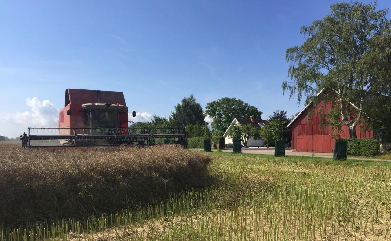 Lyckas Gards Gaestboende Höganäs Dış mekan fotoğraf